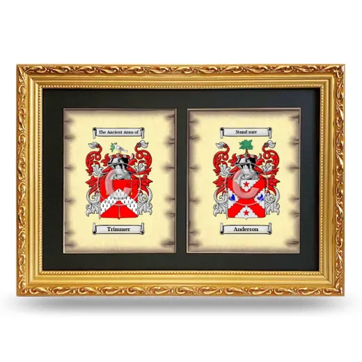 Double Coat of Arms Framed - Gold