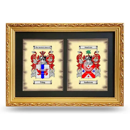 Double Coat of Arms Framed - Gold
