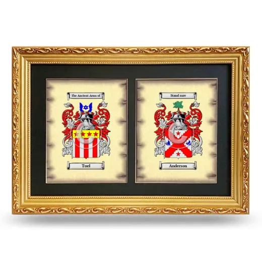 Double Coat of Arms Framed - Gold