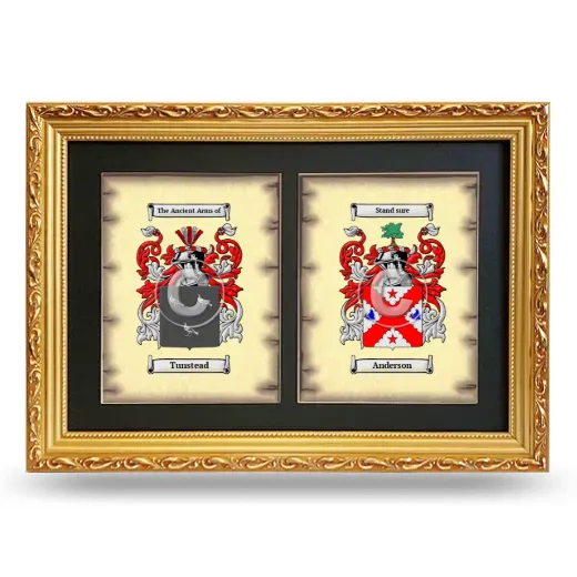 Double Coat of Arms Framed - Gold