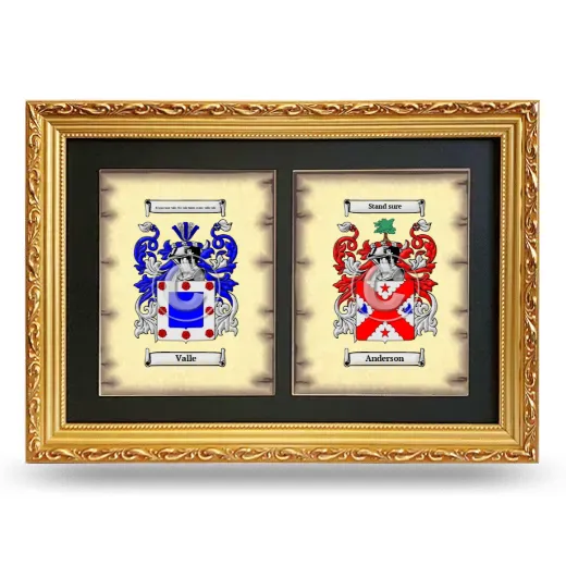Double Coat of Arms Framed - Gold