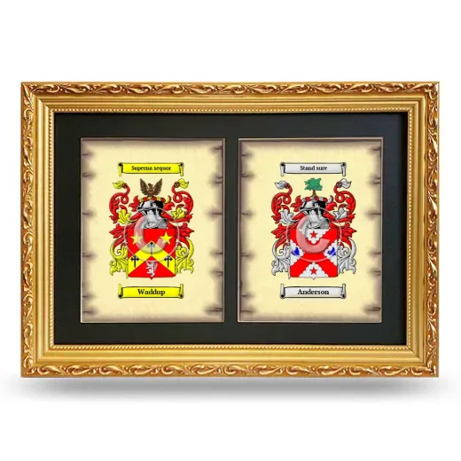 Double Coat of Arms Framed - Gold