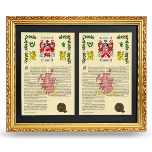 Double Armorial History Framed - Gold