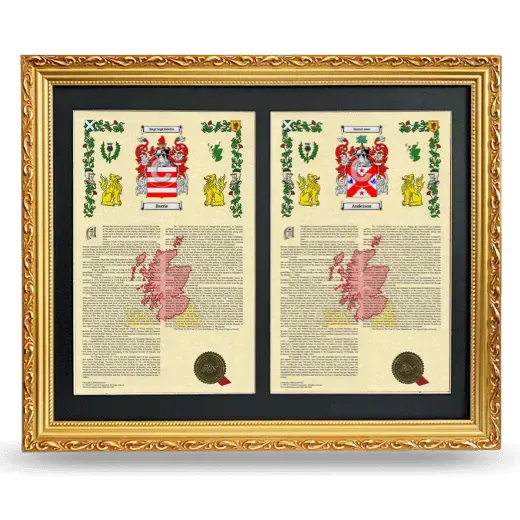 Double Armorial History Framed - Gold