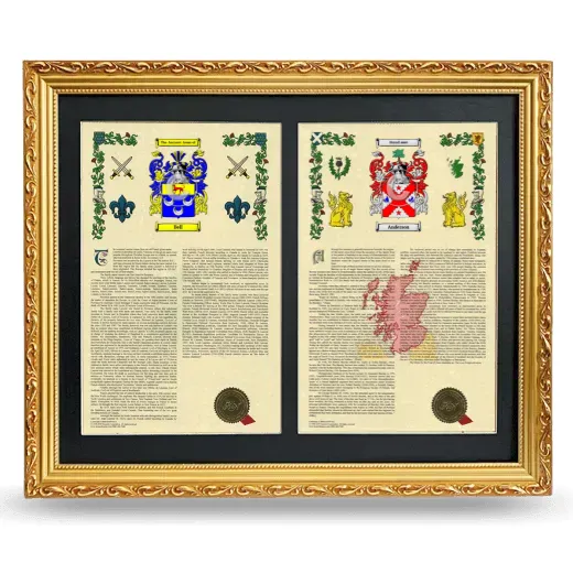 Double Armorial History Framed - Gold