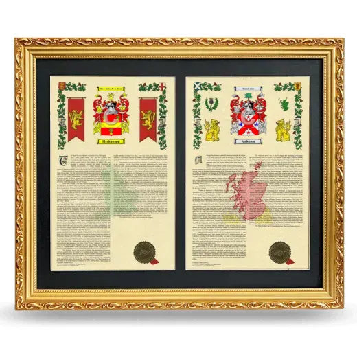 Double Armorial History Framed - Gold