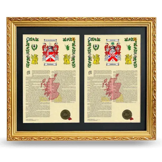 Double Armorial History Framed - Gold