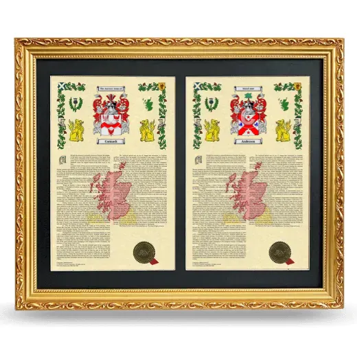 Double Armorial History Framed - Gold
