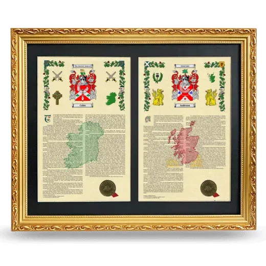 Double Armorial History Framed - Gold