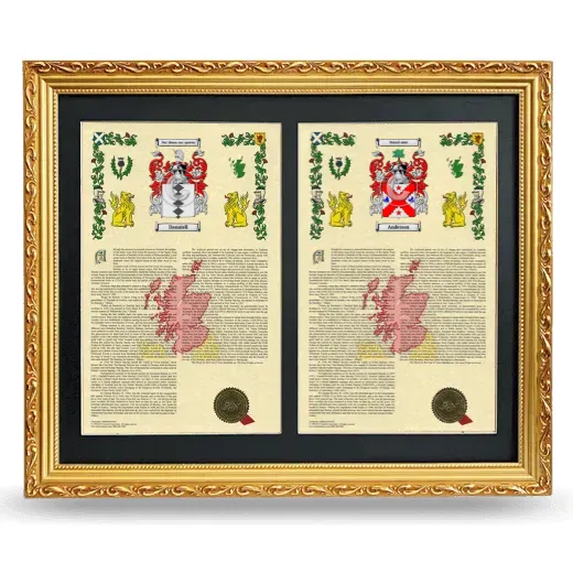 Double Armorial History Framed - Gold