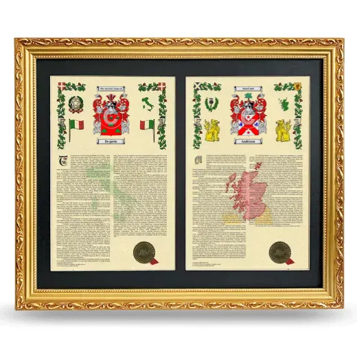 Double Armorial History Framed - Gold
