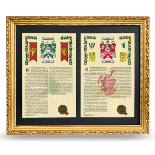 Double Armorial History Framed - Gold