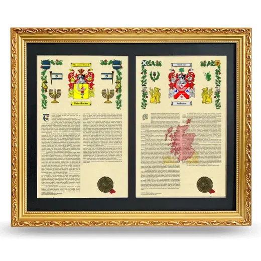Double Armorial History Framed - Gold
