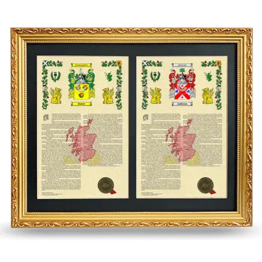 Double Armorial History Framed - Gold