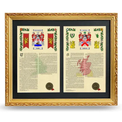 Double Armorial History Framed - Gold