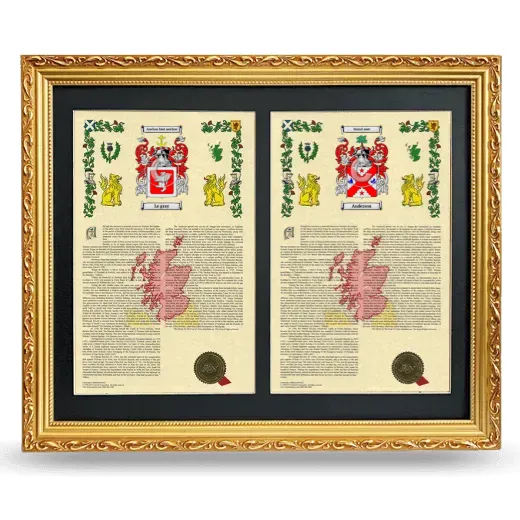 Double Armorial History Framed - Gold