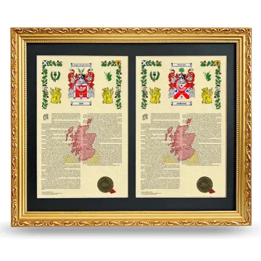 Double Armorial History Framed - Gold