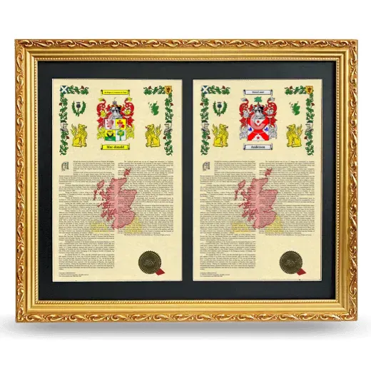 Double Armorial History Framed - Gold