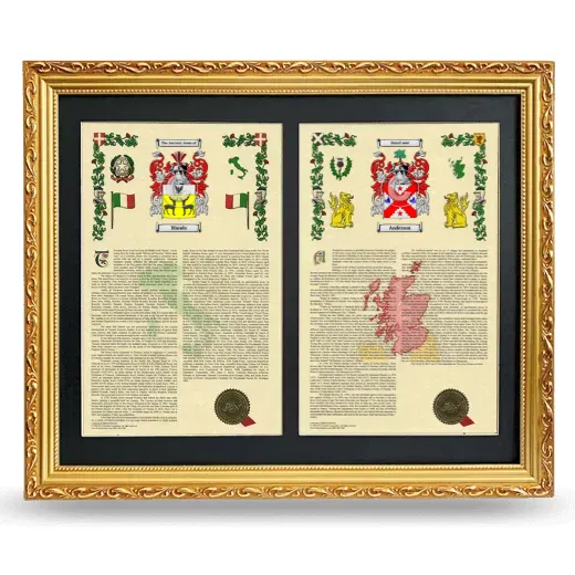 Double Armorial History Framed - Gold