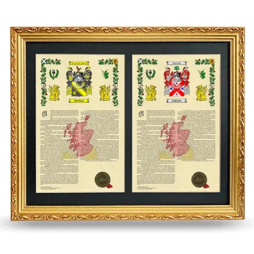 Double Armorial History Framed - Gold