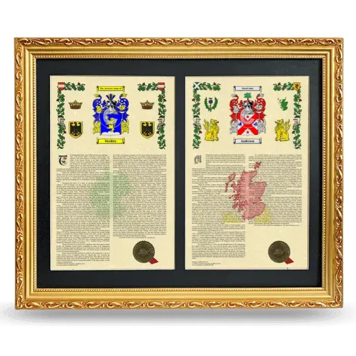 Double Armorial History Framed - Gold