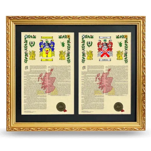 Double Armorial History Framed - Gold