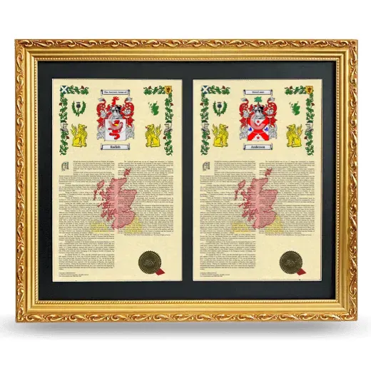 Double Armorial History Framed - Gold