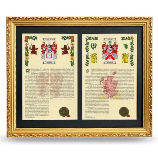 Double Armorial History Framed - Gold