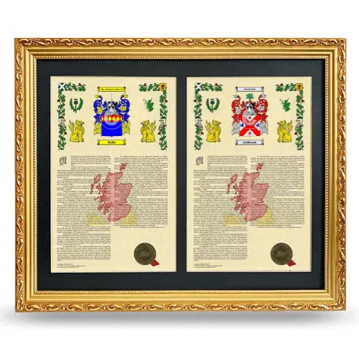Double Armorial History Framed - Gold