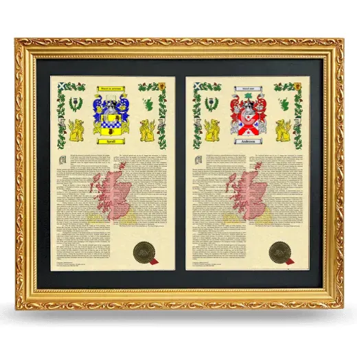 Double Armorial History Framed - Gold