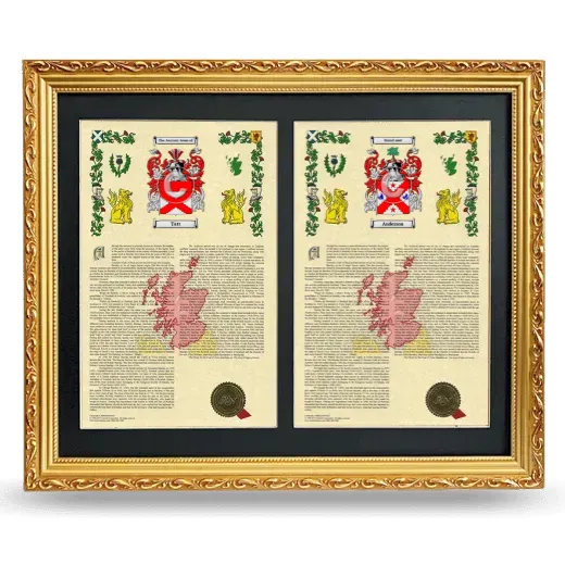 Double Armorial History Framed - Gold