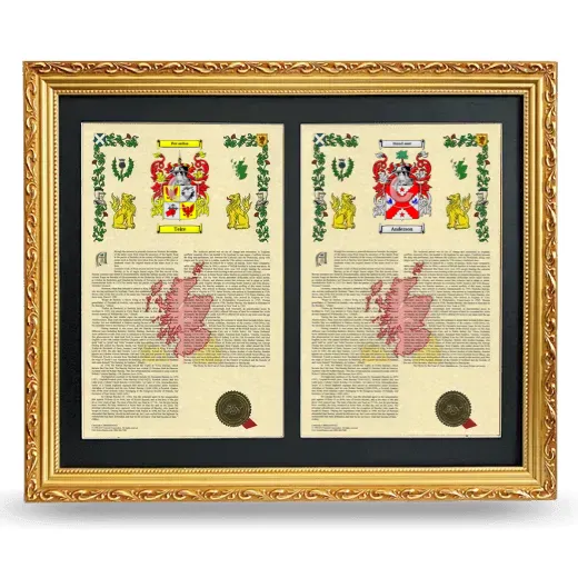 Double Armorial History Framed - Gold