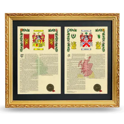 Double Armorial History Framed - Gold