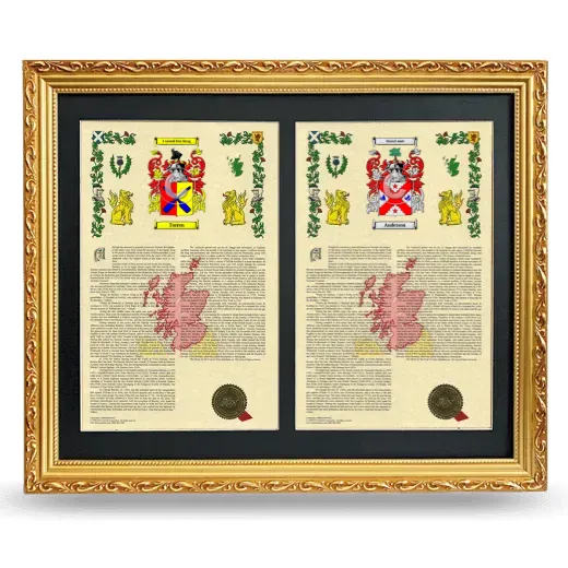 Double Armorial History Framed - Gold
