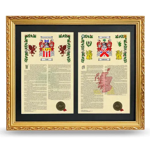 Double Armorial History Framed - Gold