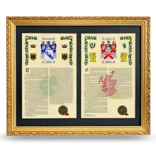 Double Armorial History Framed - Gold