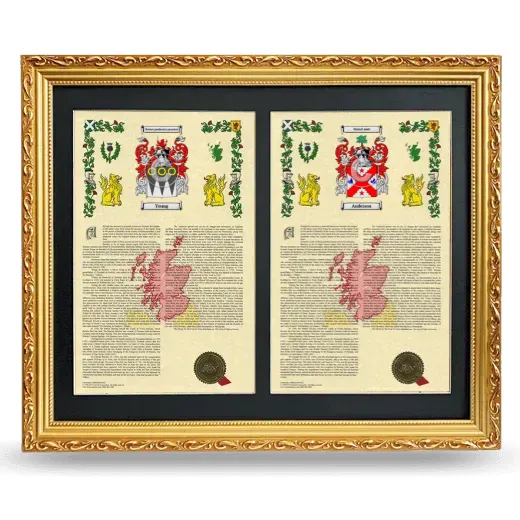 Double Armorial History Framed - Gold