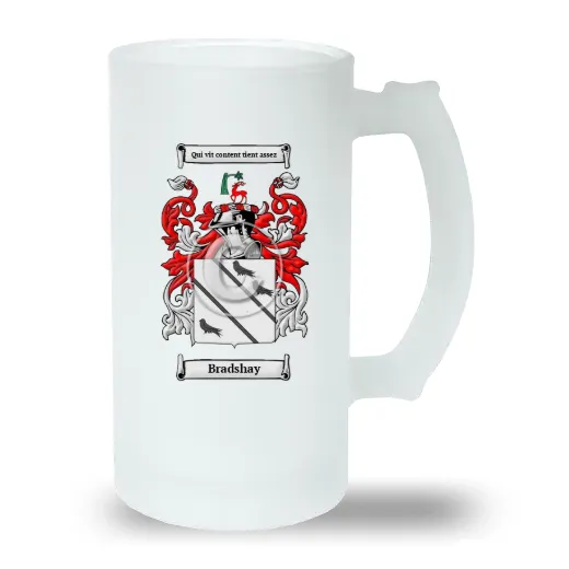 Bradshay Frosted Beer Stein