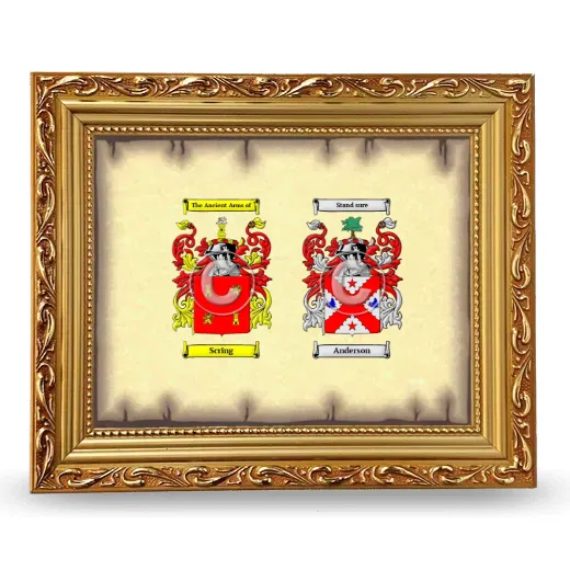 Anniversary Framed - Gold