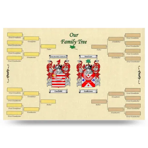 Record Your Own Family Tree