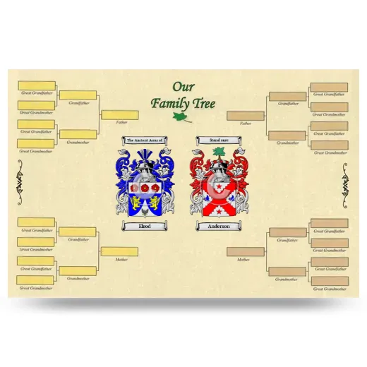 Record Your Own Family Tree