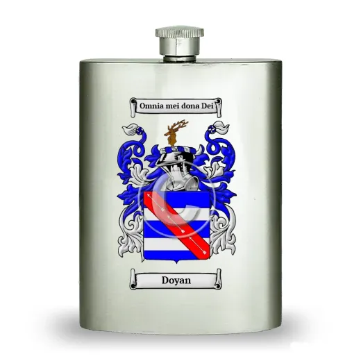 Doyan Stainless Steel Hip Flask