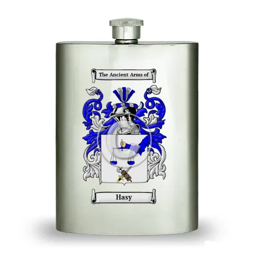 Hasy Stainless Steel Hip Flask