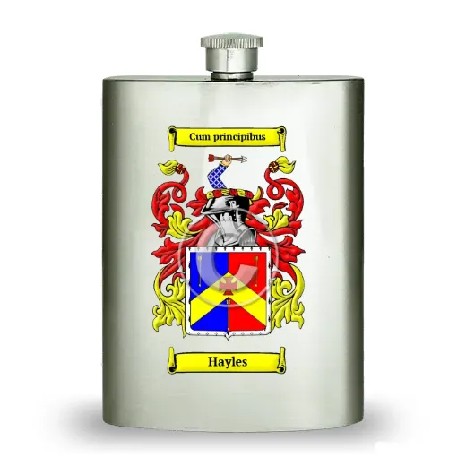 Hayles Stainless Steel Hip Flask