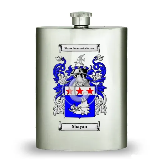 Shayan Stainless Steel Hip Flask