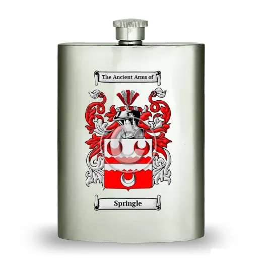 Springle Stainless Steel Hip Flask
