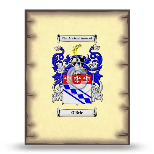 O'Bric Coat of Arms Print