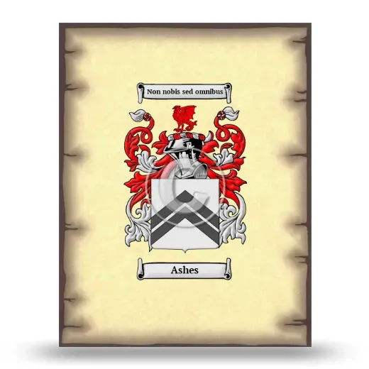 Ashes Coat of Arms Print
