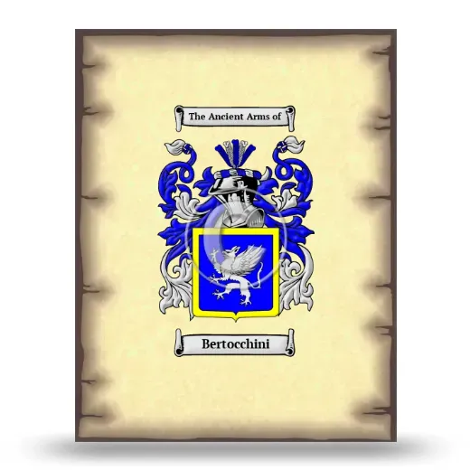 Bertocchini Coat of Arms Print