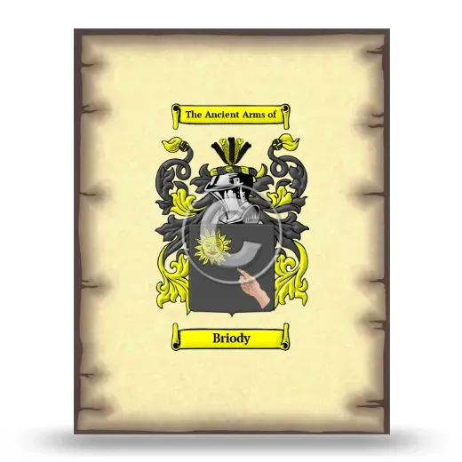 Briody Coat of Arms Print